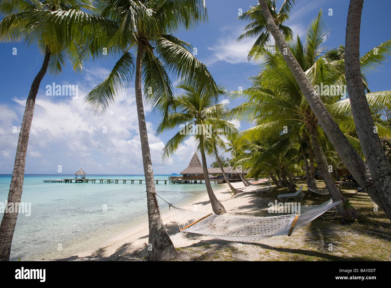 Amaca sotto gli alberi di cocco a Hotel Kia Ora, Avatoru, Rangiroa, Tuamotus, Polinesia Francese Foto Stock