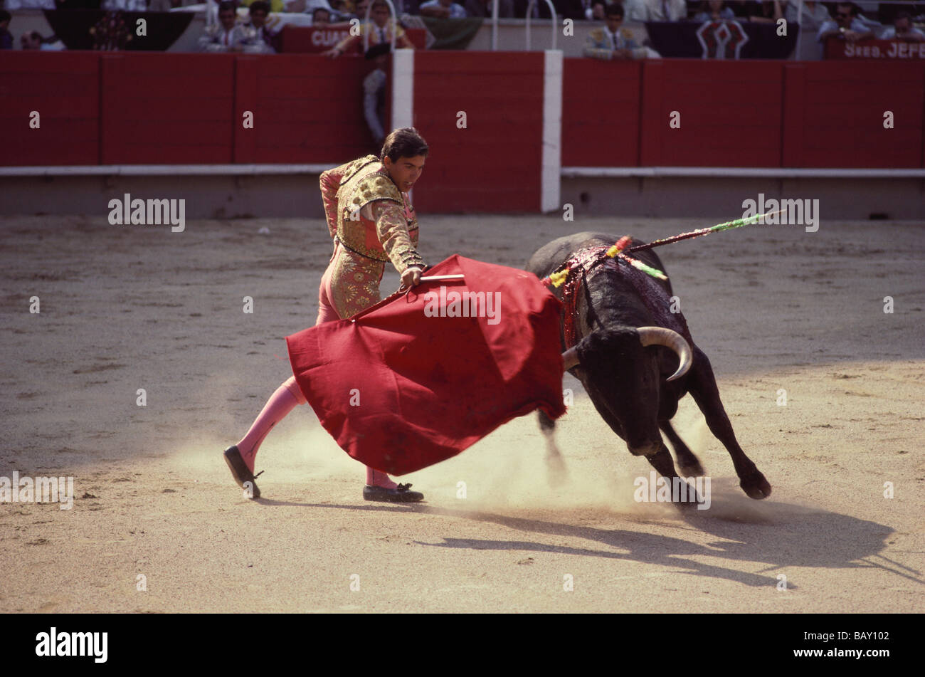 Un toro infuria attaccando il torero rosso di cape, arena di Granada, Andalusia. Spagna Foto Stock