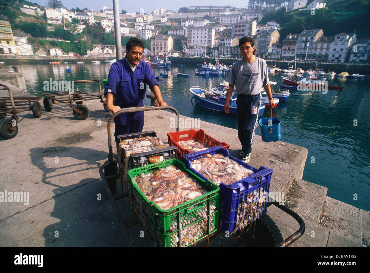 Due pescatori presentando cesti pieni di polpi sulla banchina di Luarca's Boat Harbour, Asturias, Costa Verde, nel golfo di Biscaglia, N Foto Stock