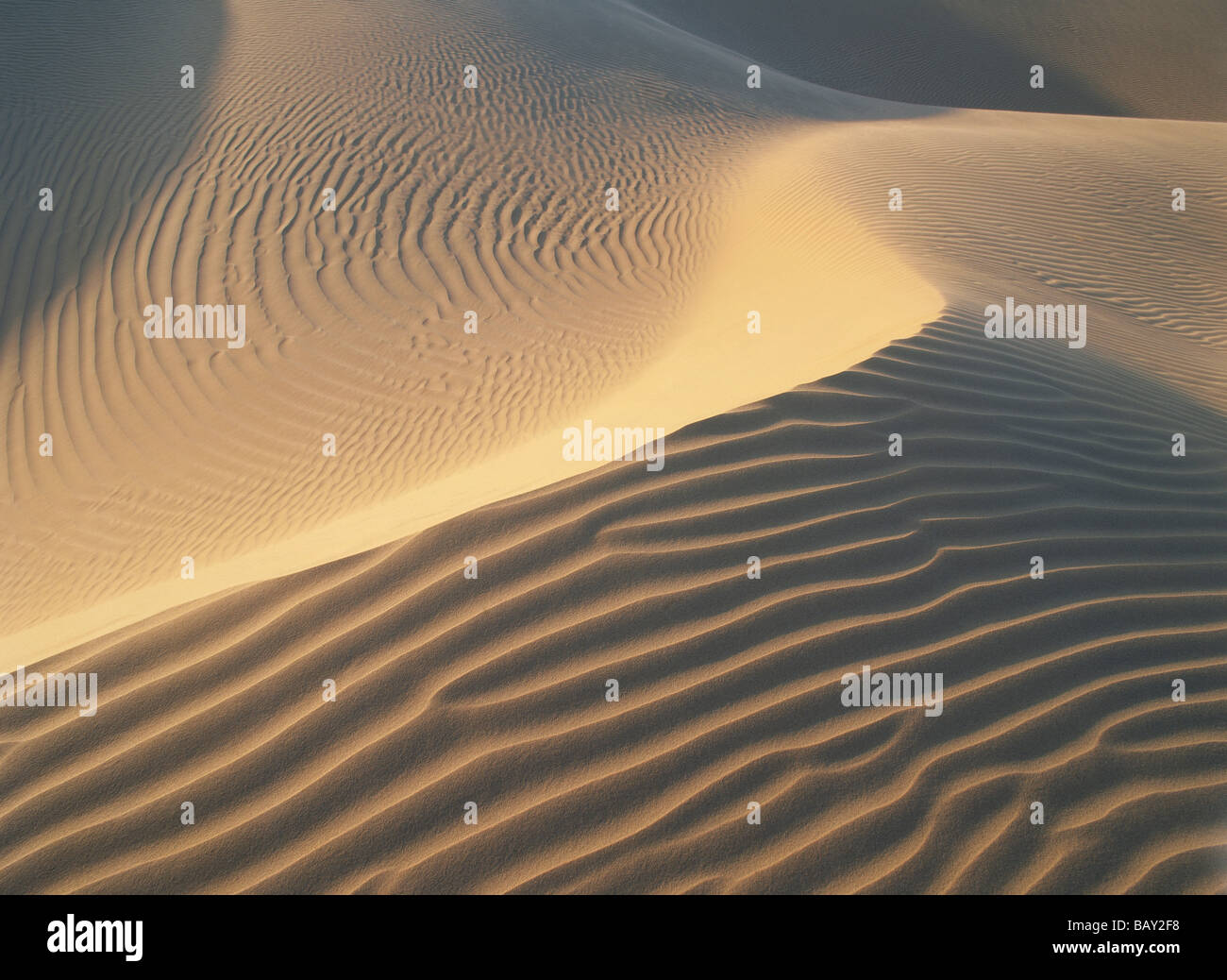 Paesaggio di dune, Imperial dune di sabbia, California del Sud, Nord America, STATI UNITI D'AMERICA Foto Stock