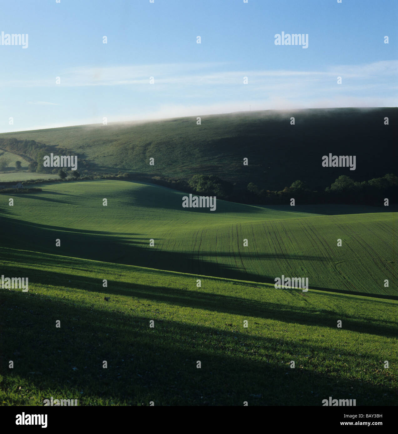 Lungo la mattina presto ombre su downland orzo invernale raccolto in autunno Foto Stock