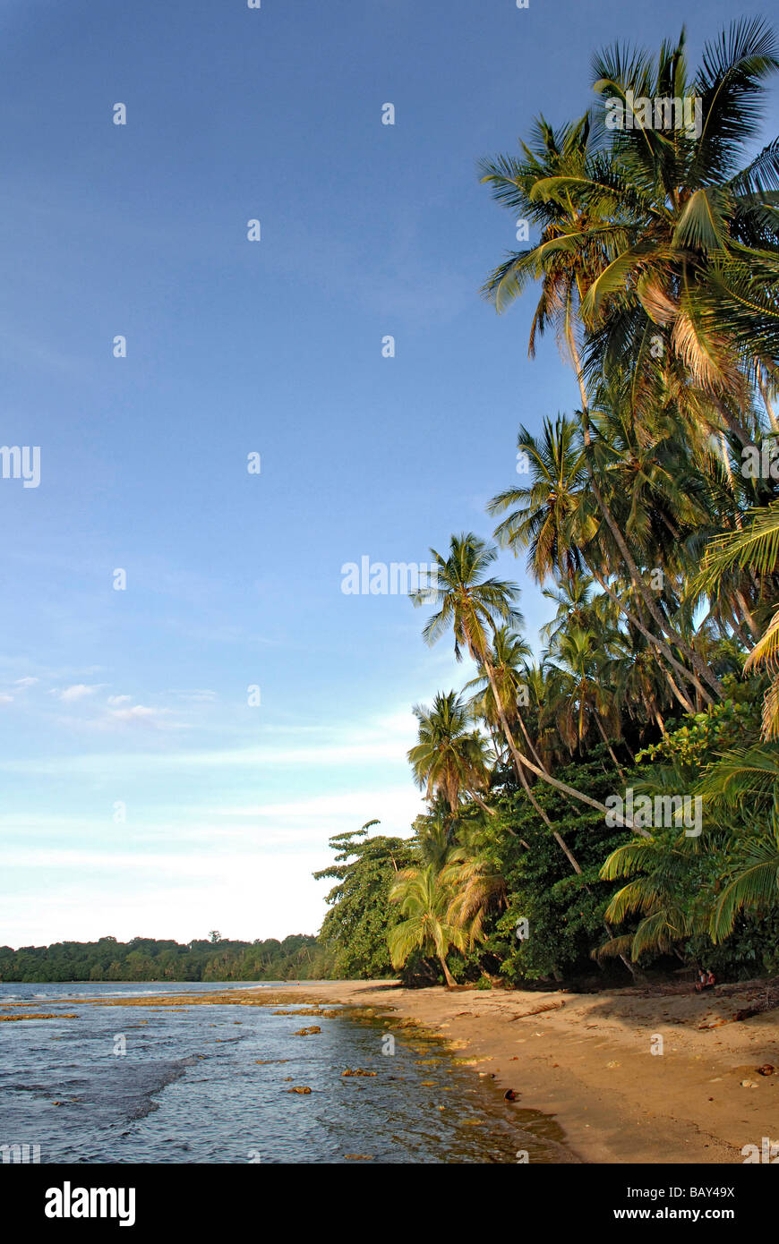 Spiaggia di Costa dei Caraibi vicino a Puerto Viejo, Costa Rica, America Centrale Foto Stock