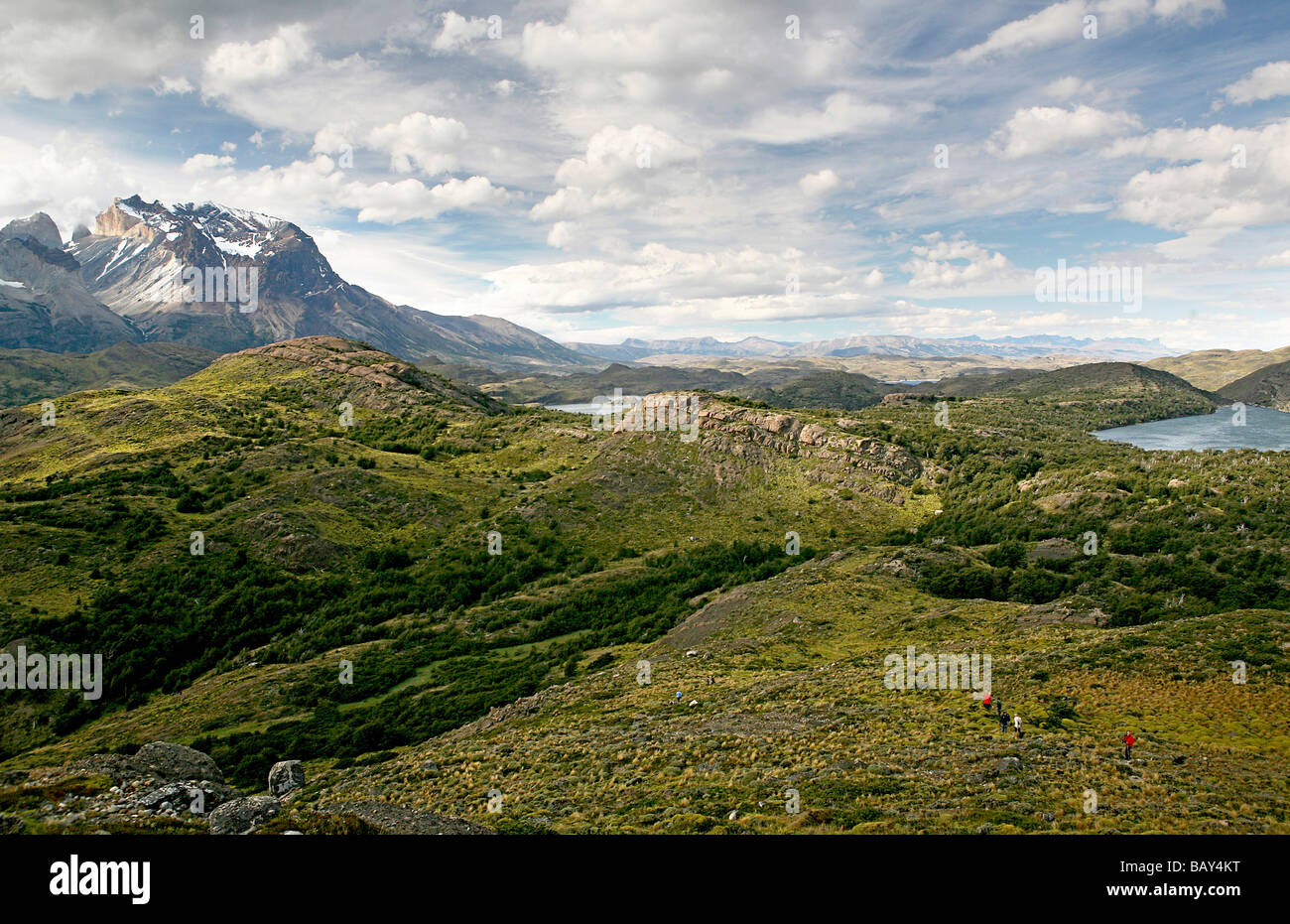Parco Nazionale di Torres del Paine nella Patagonia cilena, Sud America Foto Stock