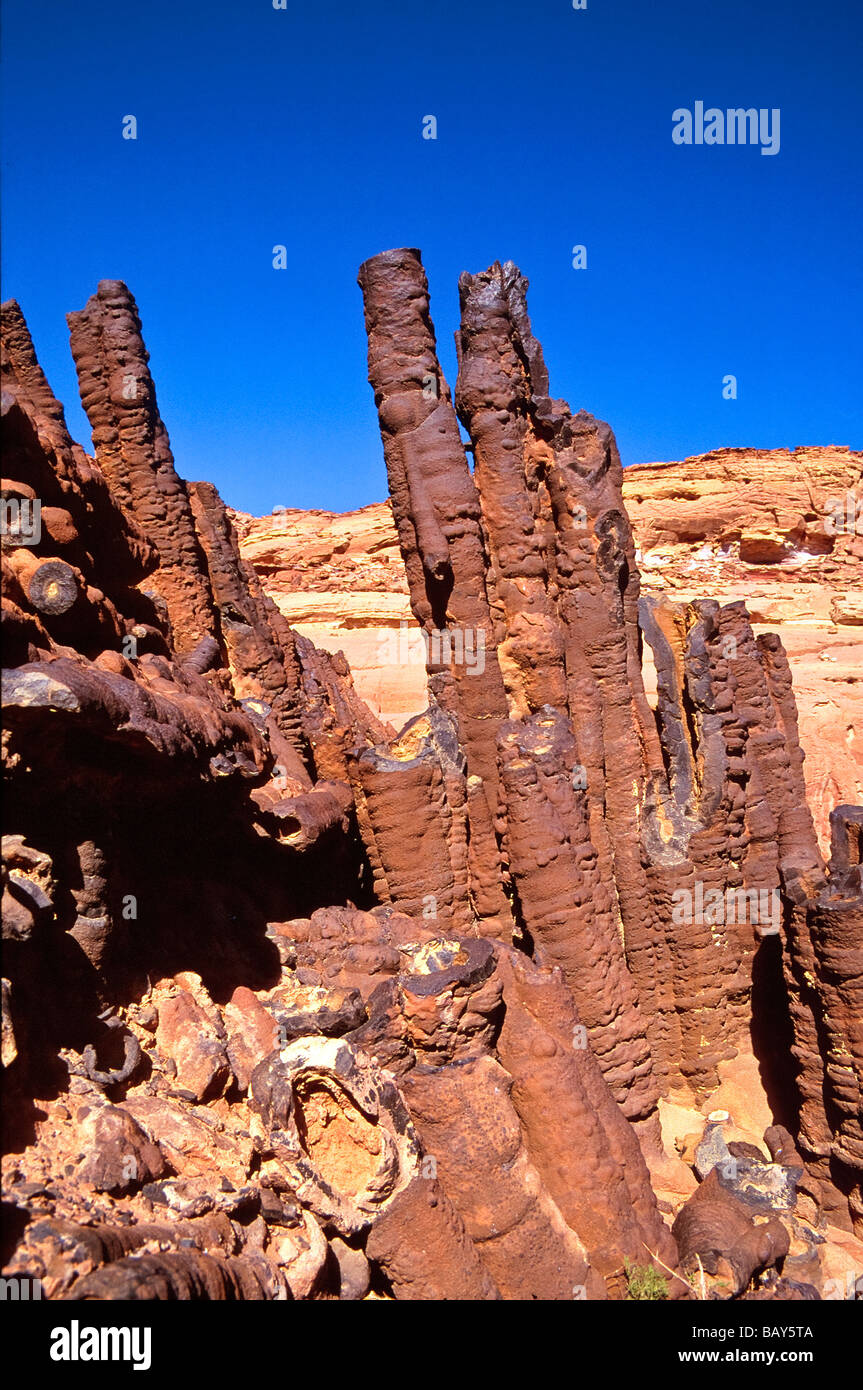 Foresta di pilastri, vulcanismo nel deserto del Sinai, Egitto, Nord Africa Foto Stock