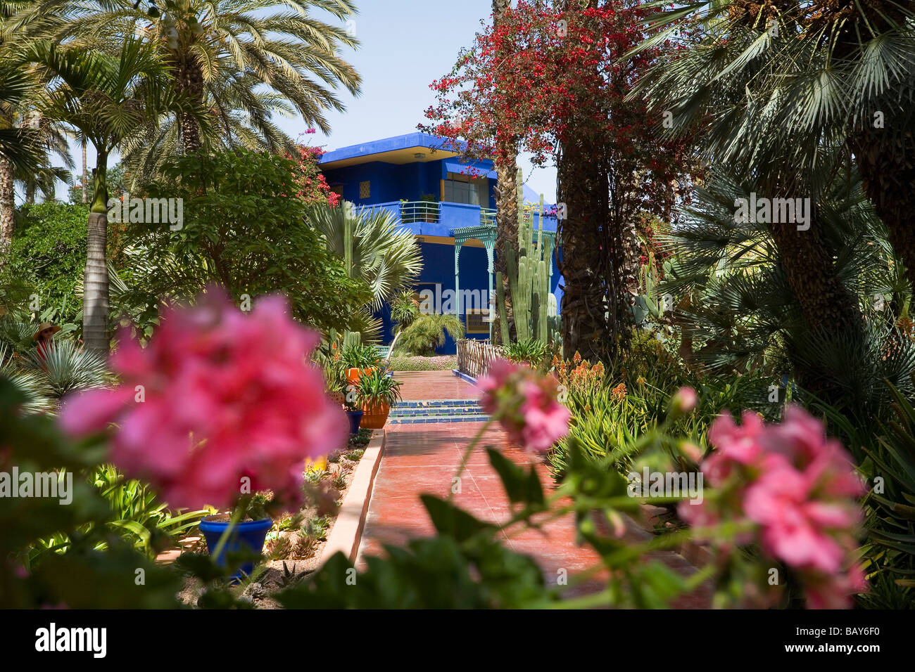 La bellissima Jardins Majorelle di Marrakech marocco Foto Stock