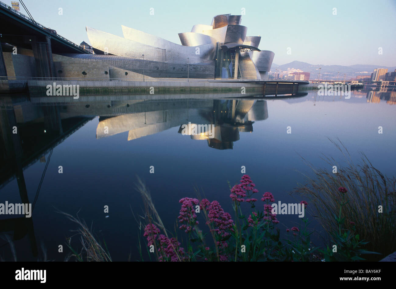 Guggenheim Museum Bilbao da architetto Frank Gehry, Nervión River, Bilbao, provincia di Biscaglia, Paesi Baschi Foto Stock