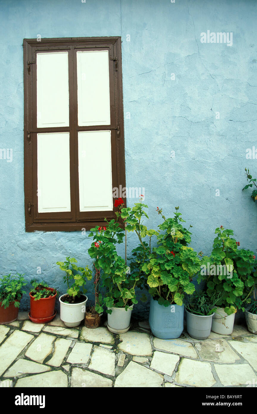 La facciata della casa con piante, Kato Lefkara, Cipro Foto Stock