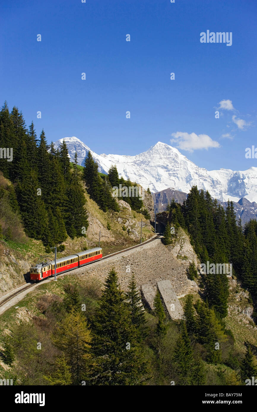 Schynige Platte ferroviarie, Eiger (3970 m), Moench (4107 m) e Jungfrau (4158 m) sullo sfondo, Schynige Platte (1967 m), Interlak Foto Stock