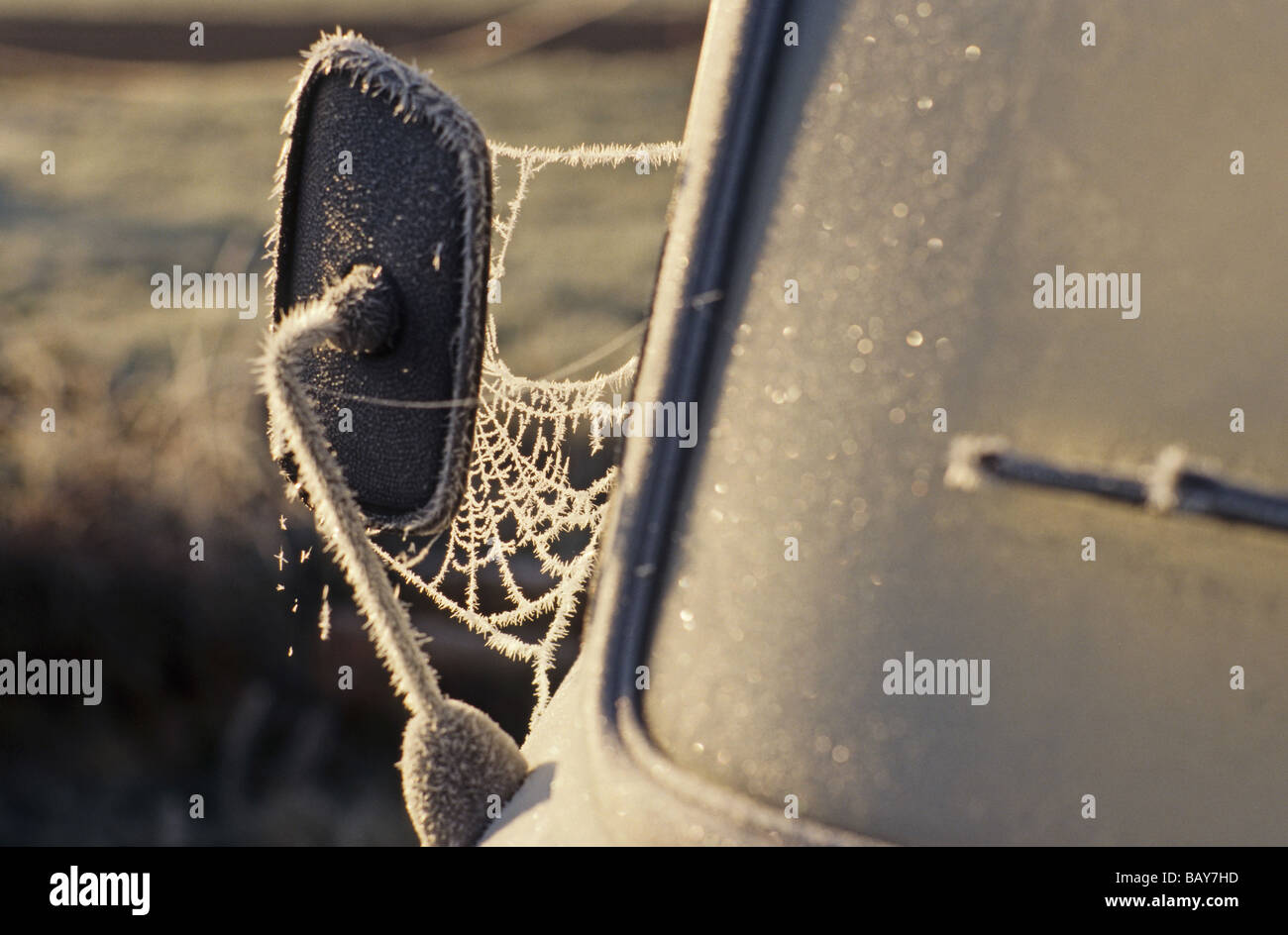 Trasformata per forte gradiente brina sulle auto abbandonate specchio laterale e la finestra Foto Stock