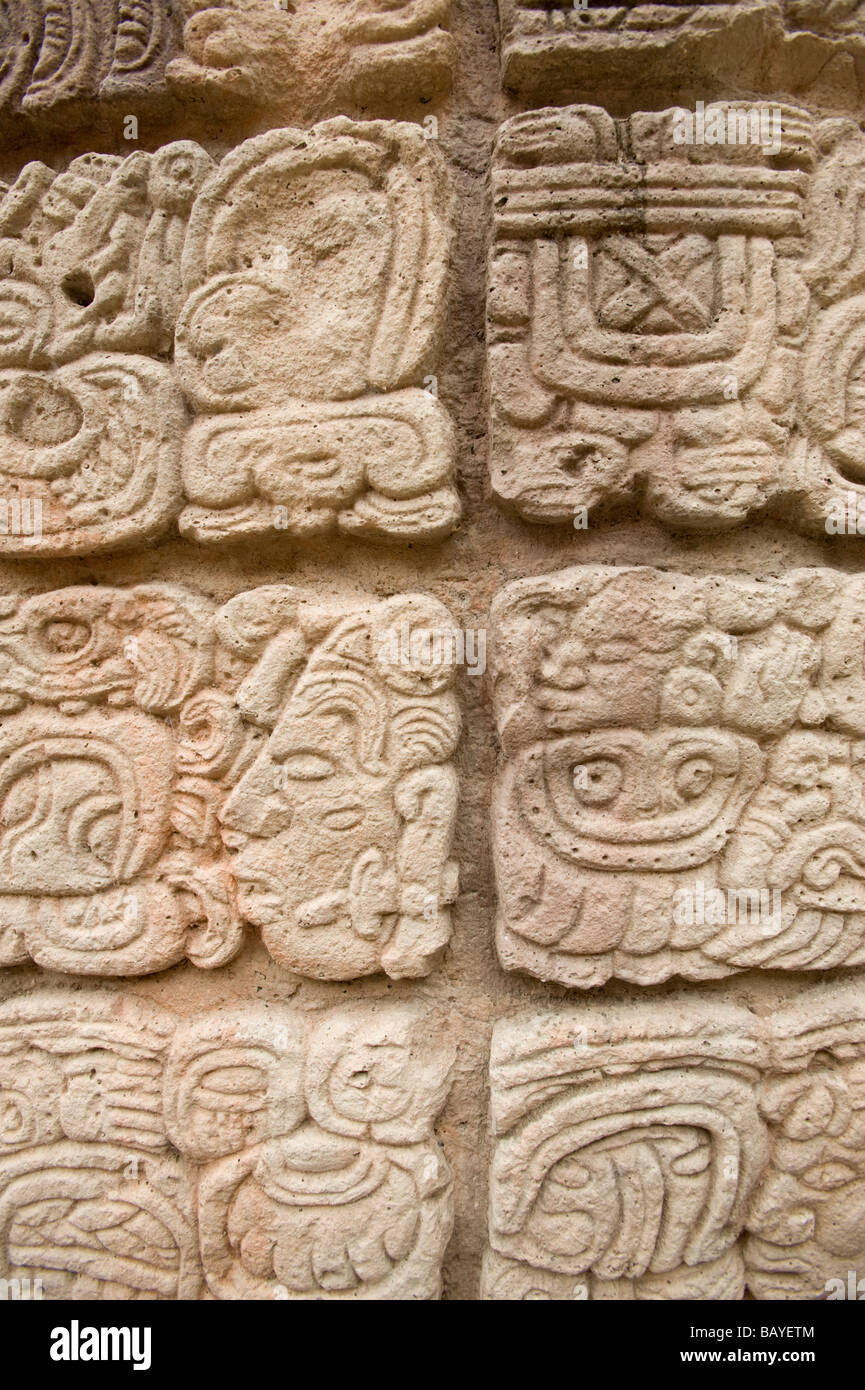 Dettaglio Maya di carving, Copan Ruinas Maya parco archeologico, Honduras. Foto Stock