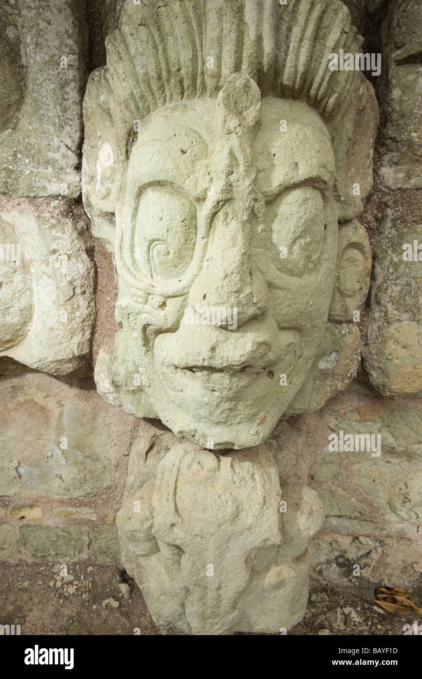 Dettaglio del carving Maya presso Copan Ruinas Maya parco archeologico, Honduras. Foto Stock