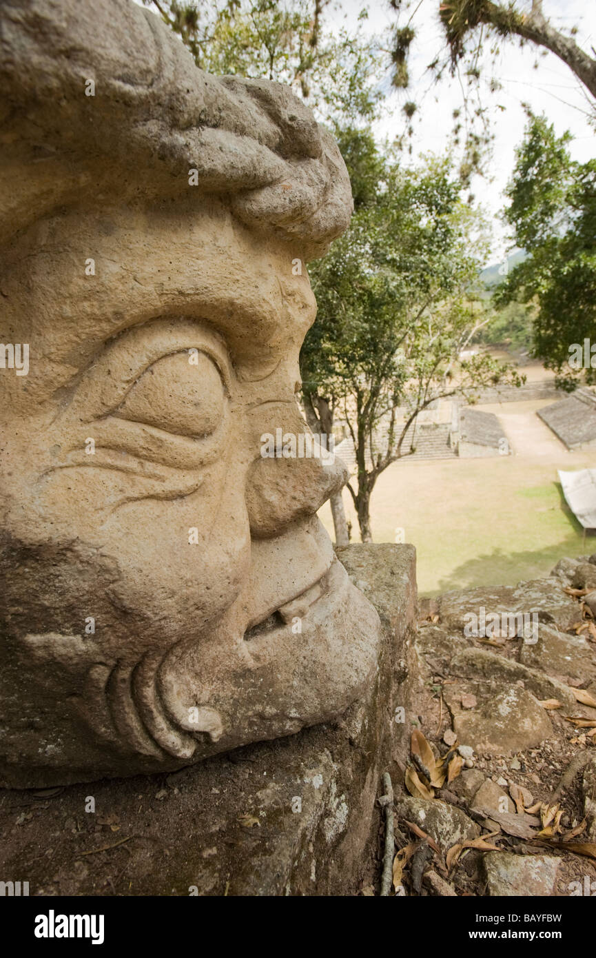 Copan Ruinas Maya parco archeologico, Honduras. Foto Stock