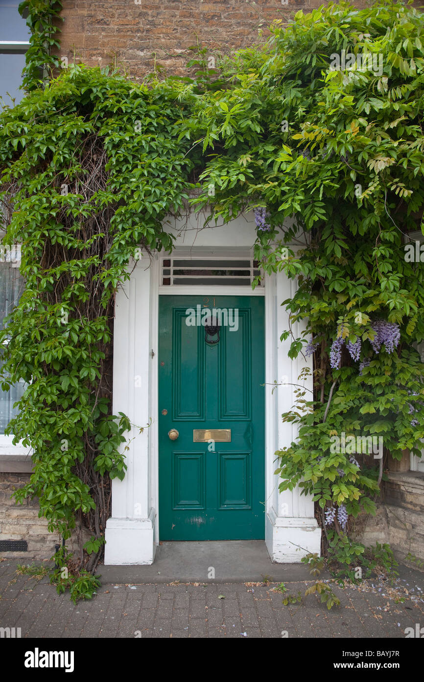 Arrampicata arbusto di glicine in crescita di circa un classico porta, porta grren letterbox in ottone, inizio di estate Foto Stock