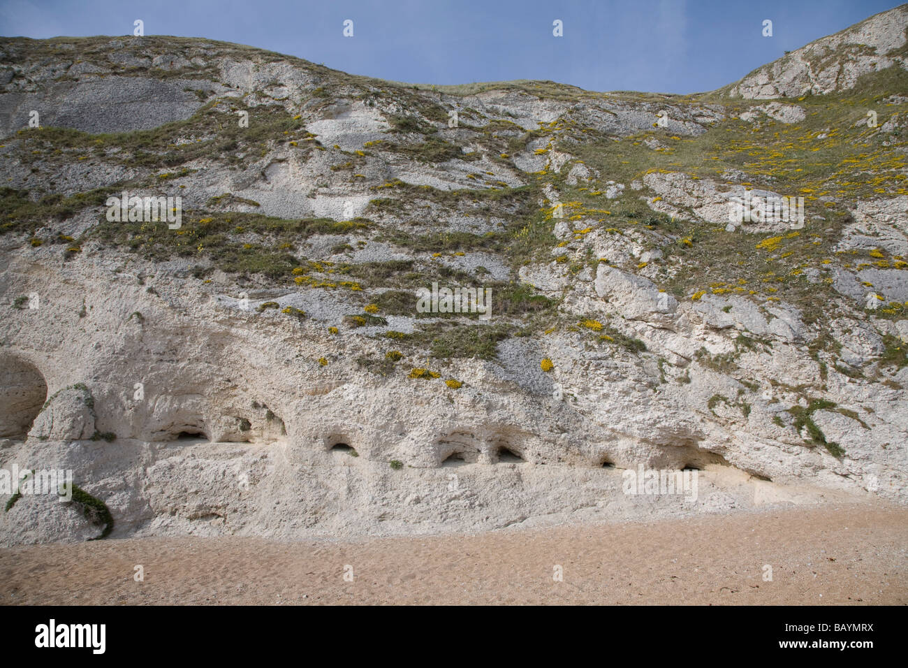 Grotte lungo la linea di faglia di chalk cliffs beach, Jurassic Coast, Dorset Inghilterra Foto Stock