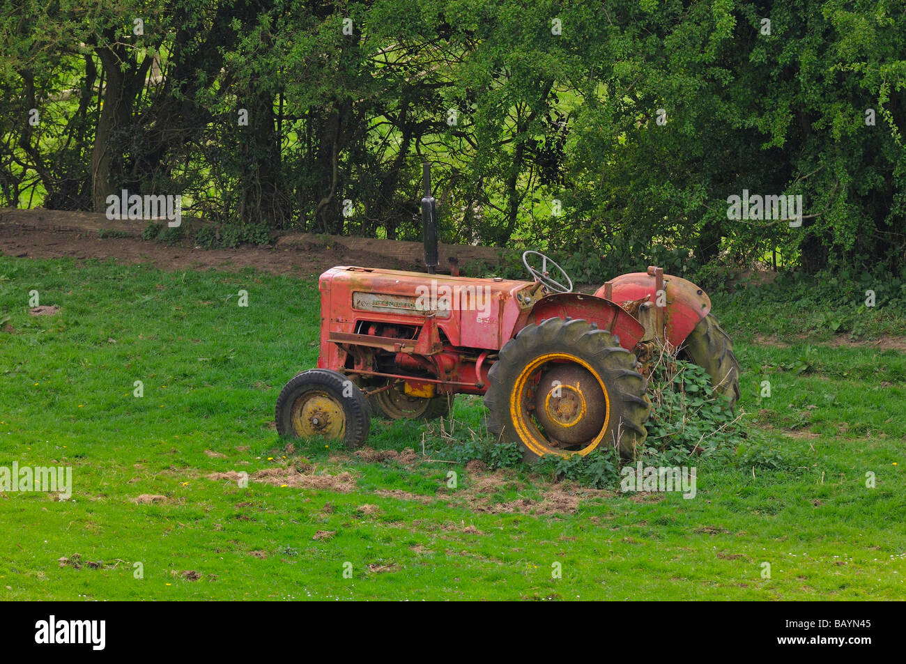 Il vecchio trattore internazionale abbandonato in un campo Foto Stock