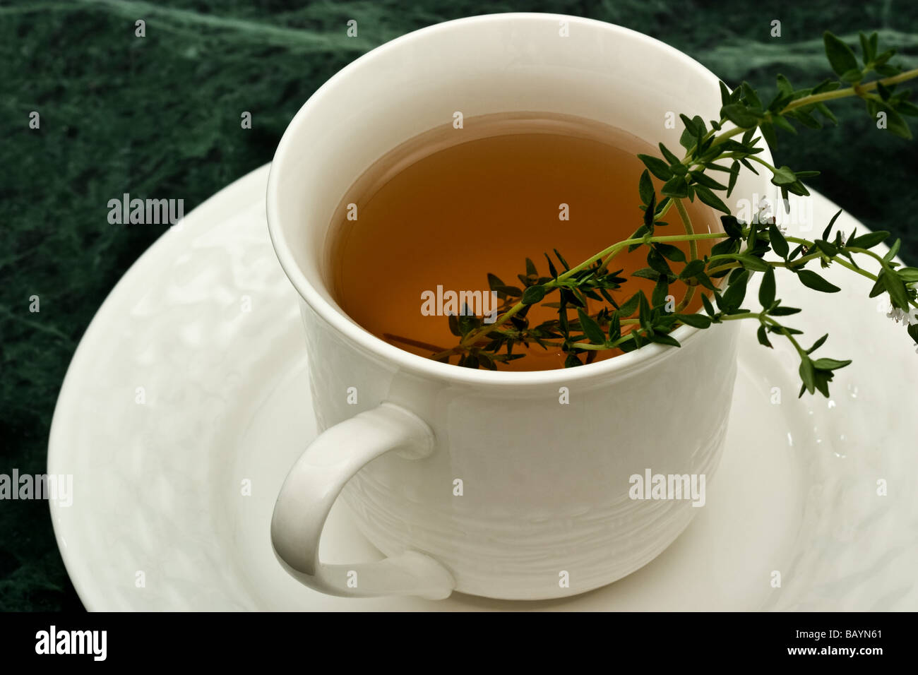 Tazza di tè con un rametto di origano greco (Orignum origano, sottospecie hirtum) Foto Stock