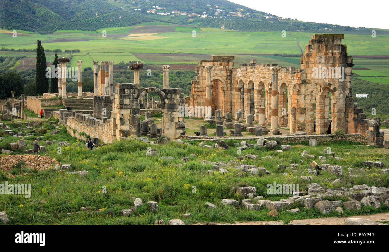Molla-tempo a Volubilis; l'UNESCO inscritte le rovine romane a lungo,altopiano appena a nord di Meknes in Marocco, Africa del Nord Foto Stock