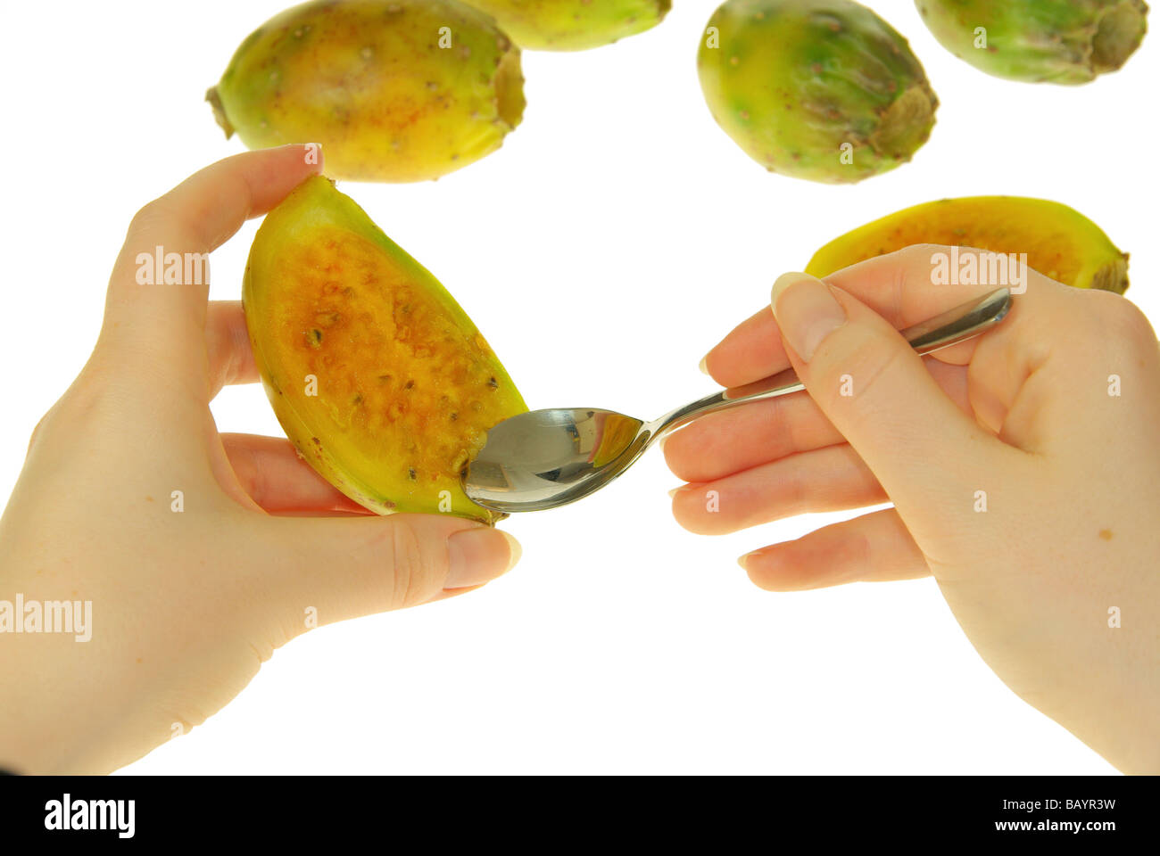 Kaktusfeige ficodindia 25 Foto Stock