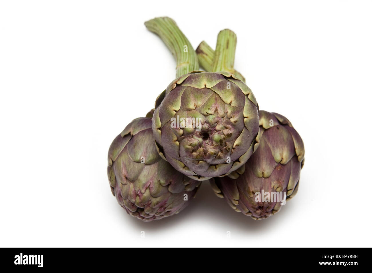 Guanto italiano carciofi isolato su un bianco di sfondo per studio Foto Stock