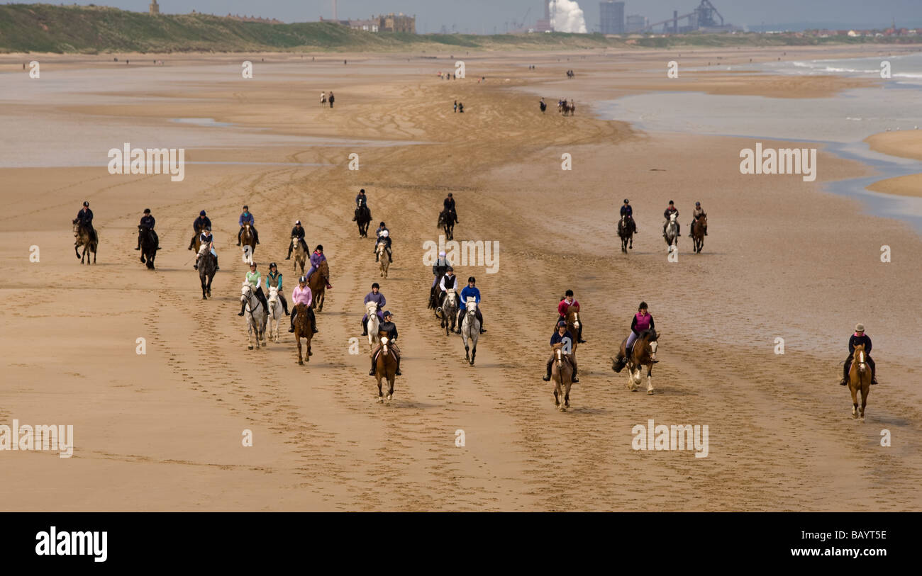 Esercizio di cavalli sulla spiaggia Saltburn Foto Stock