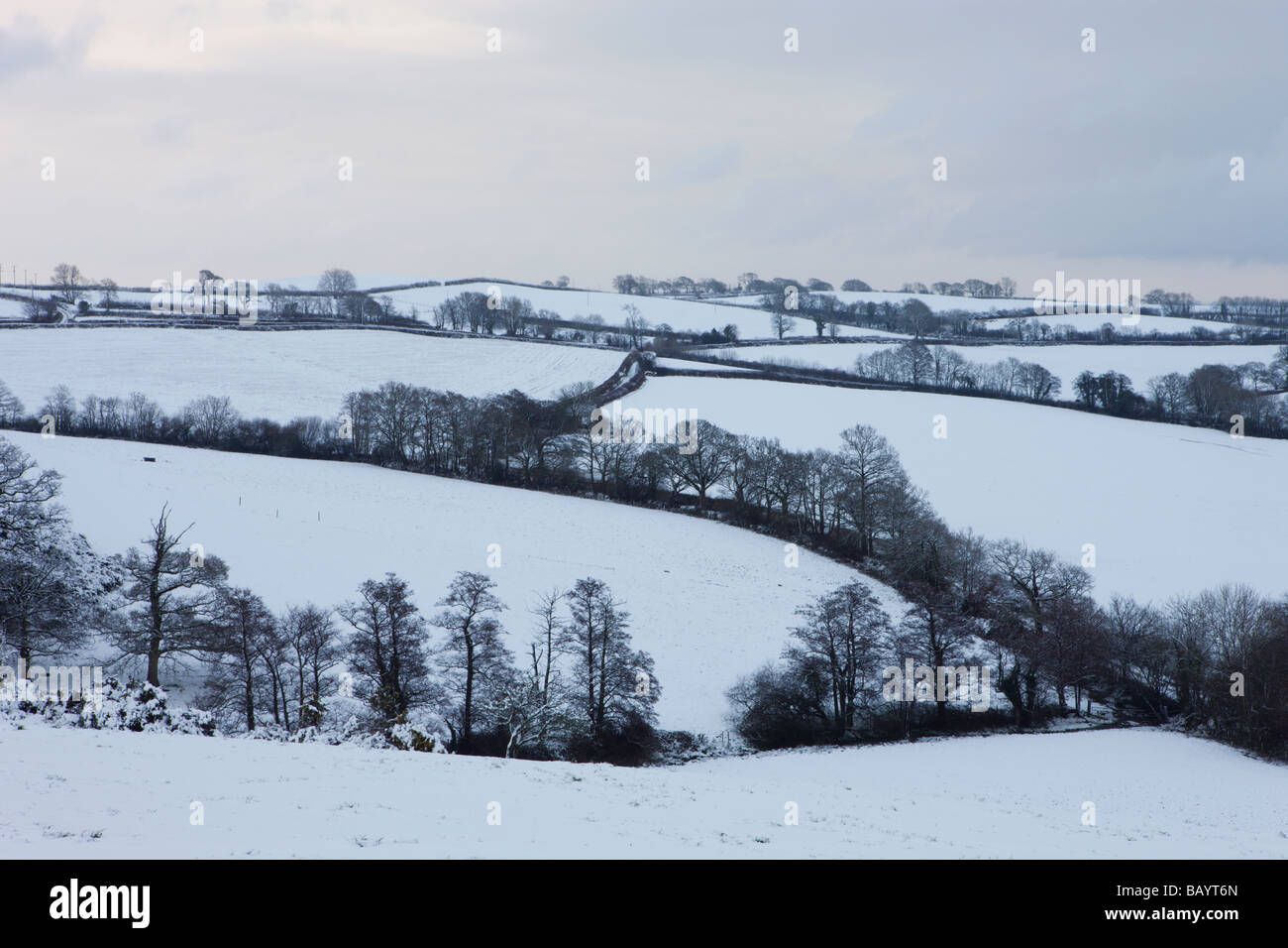 Coperta di neve farmland vicino Morchard Vescovo Devon England Febbraio 2009 Foto Stock