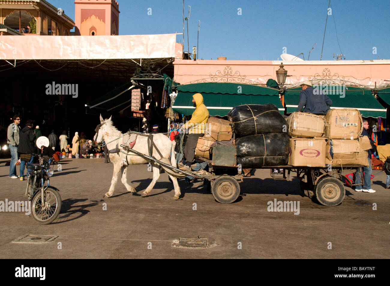 Un cavallo utilizzato per il trasporto di merci in piazza Djemma El Fna a Marrakech, Marocco Foto Stock