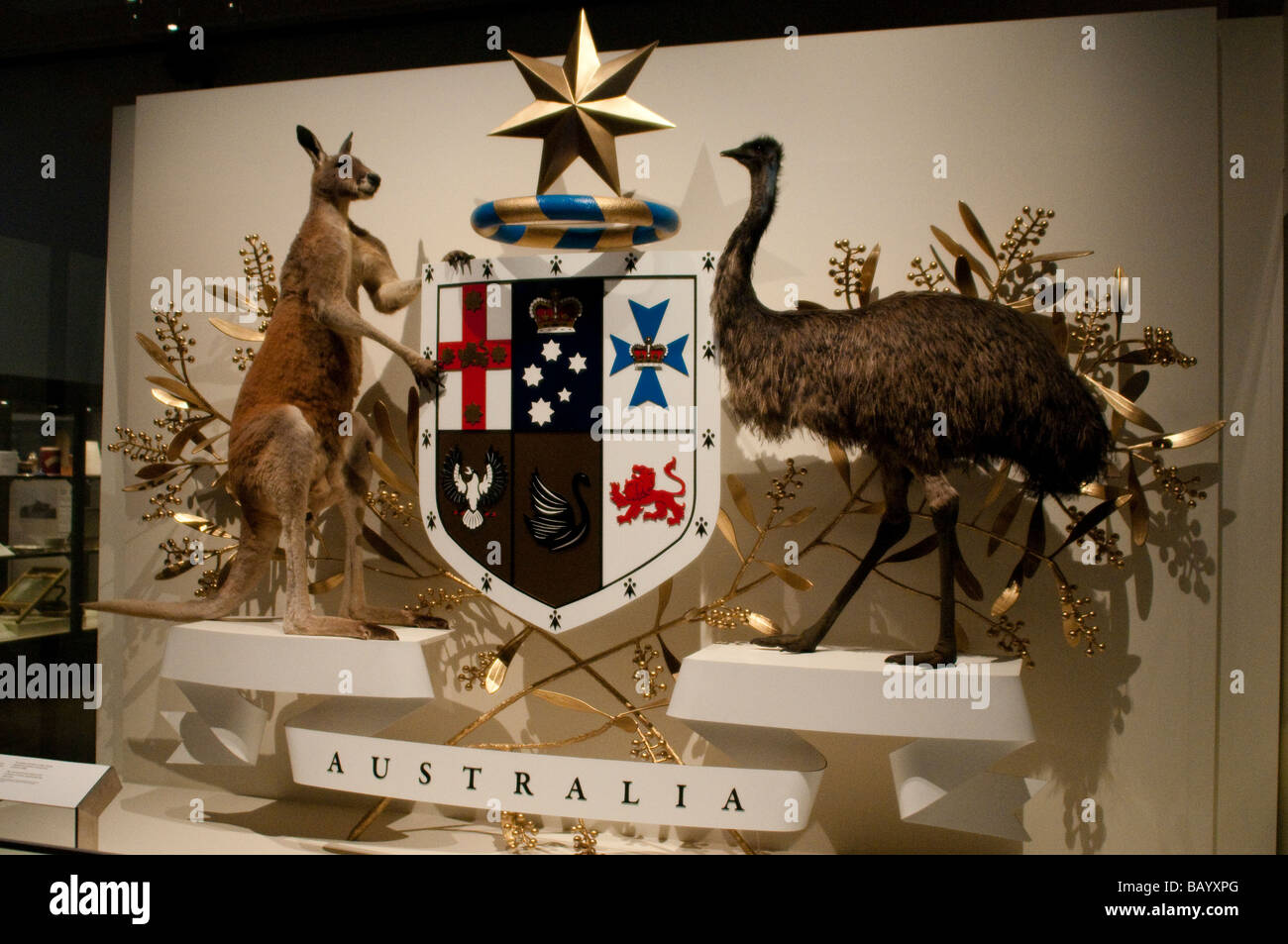 Australian corte dei bracci con canguro e UEM in Melbourne Storia Galleria Museo di Melbourne Victoria Australia Foto Stock