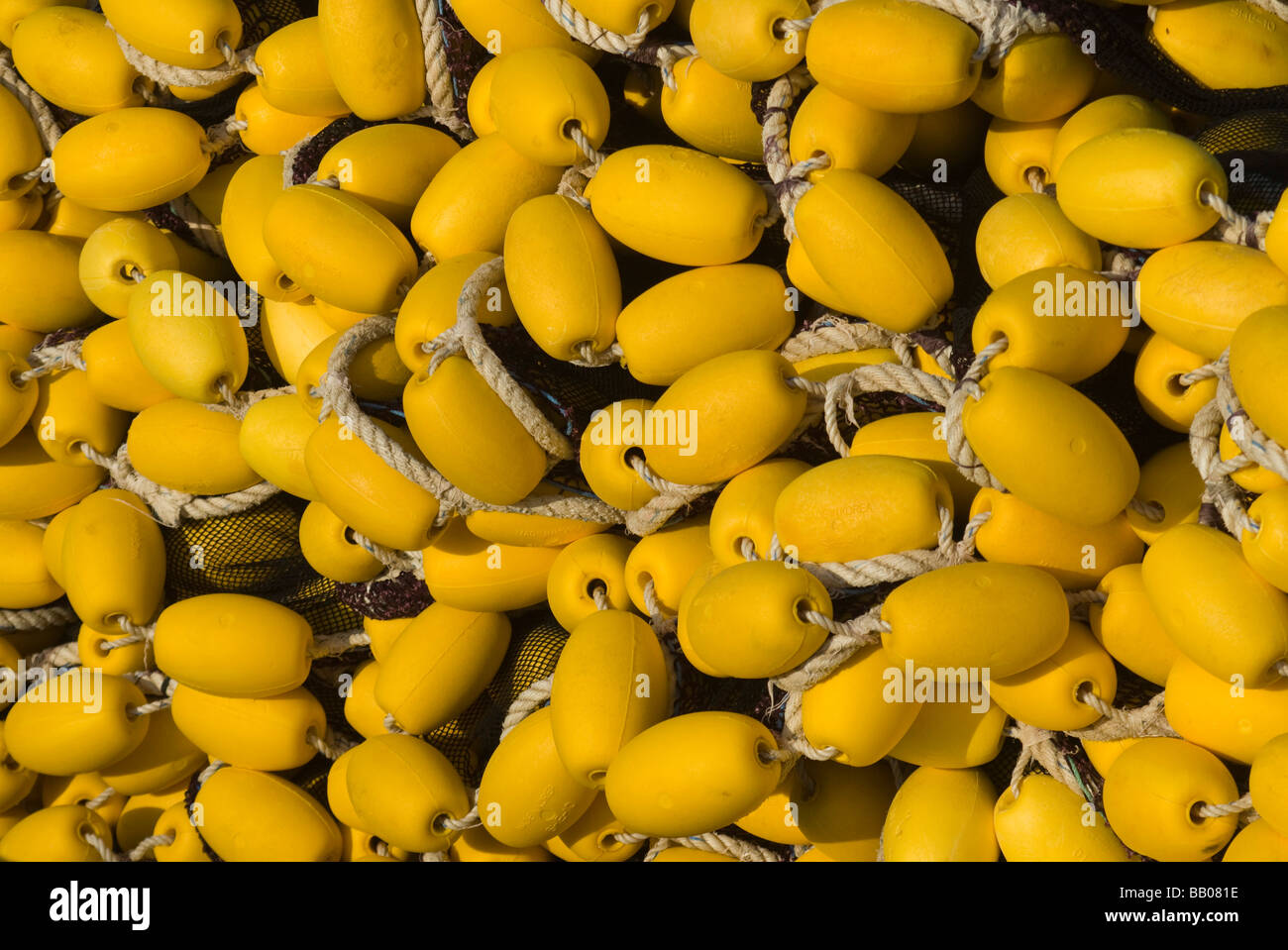 Pesce giallo net sulla barca Foto Stock