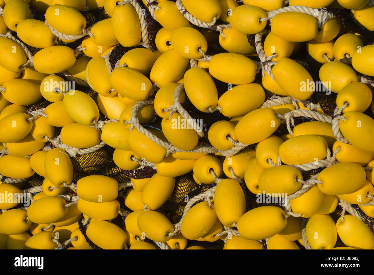 Pesce giallo net sulla barca Foto Stock