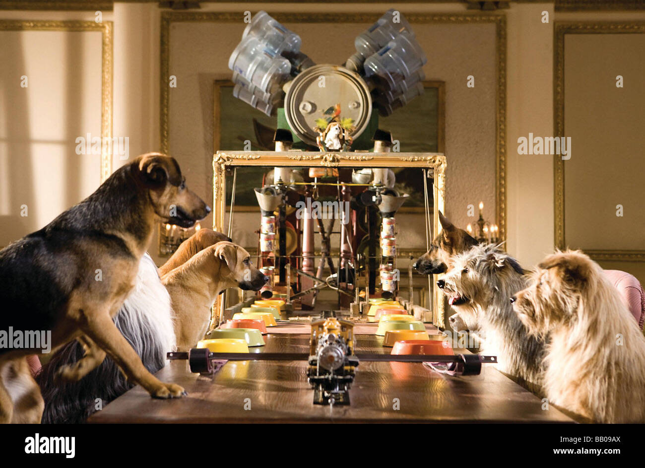 Hotel per cani Anno : 2009 Direttore : Thor Freundenthal Foto Stock