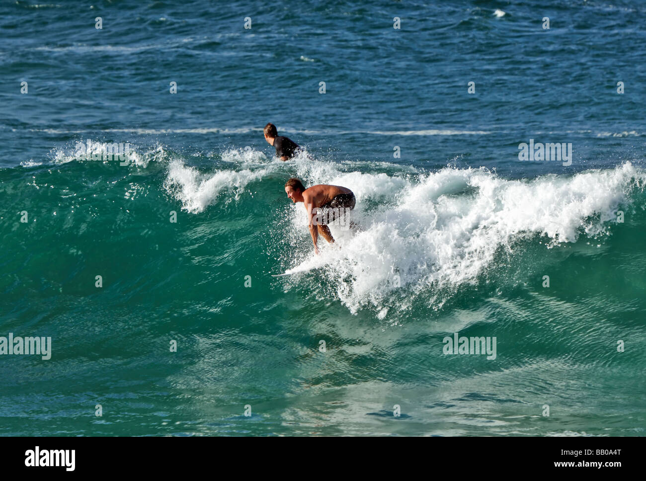 Surfisti con tavole da surf onde di cattura Foto Stock
