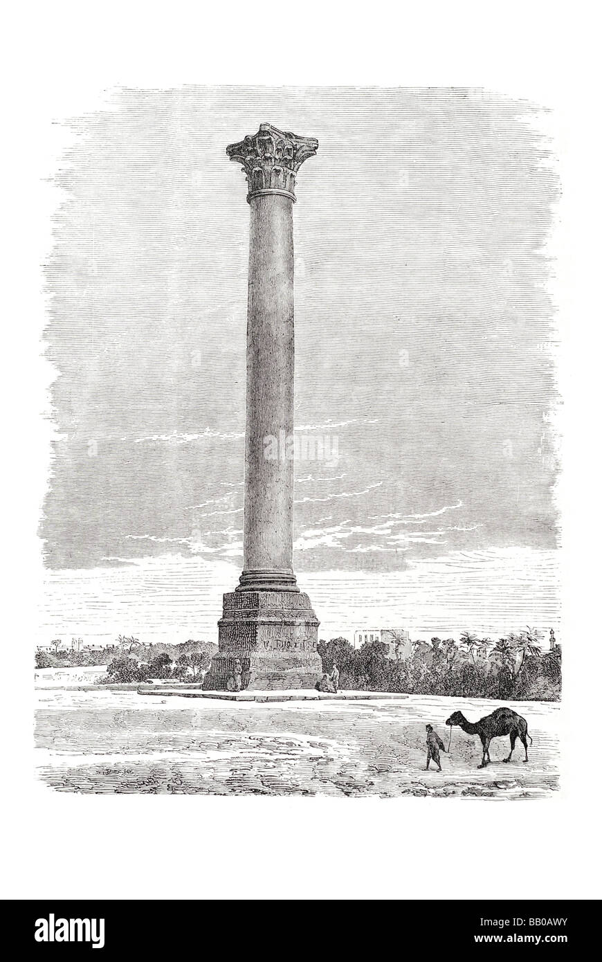 La colonna di Pompeo antico monumento di Alessandria antica acropoli modesta collina cimitero arabo tempio colonnato lucidato a piedistallo Foto Stock