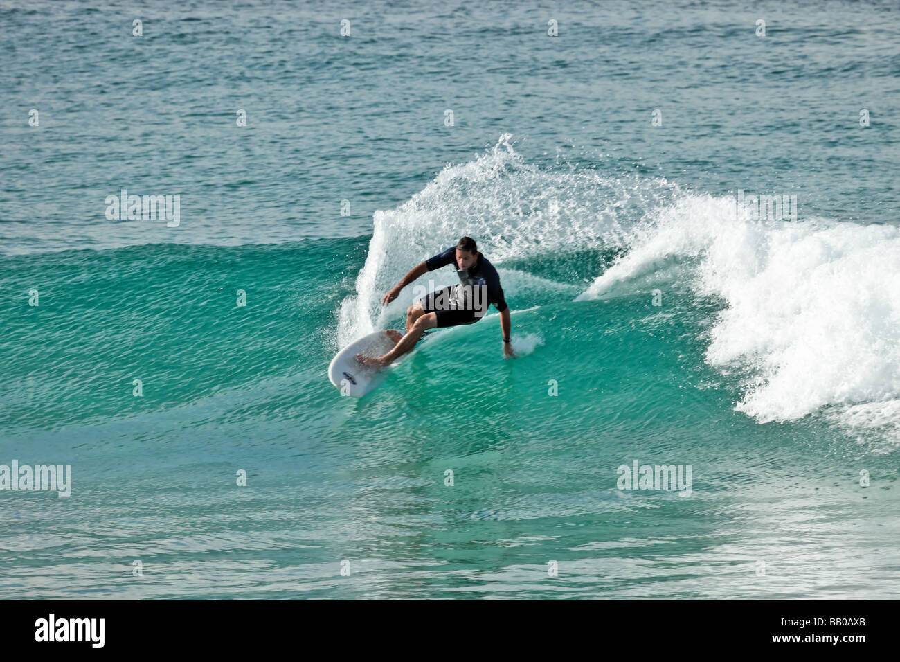 Surfisti con tavole da surf onde di cattura Foto Stock