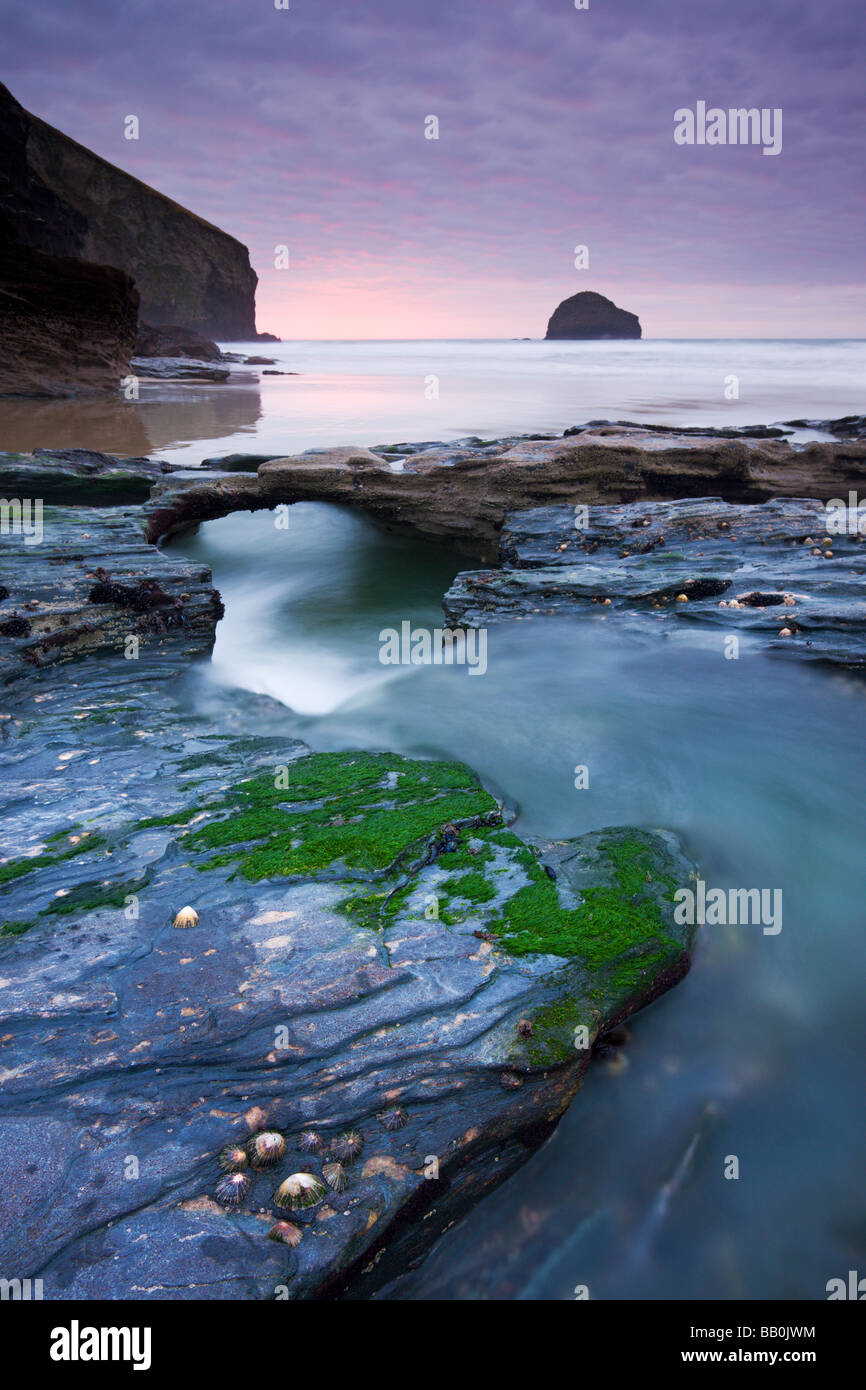 Erose rocce di ardesia a Trebarwith Strand in North Cornwall Inghilterra Febbraio 2009 Foto Stock