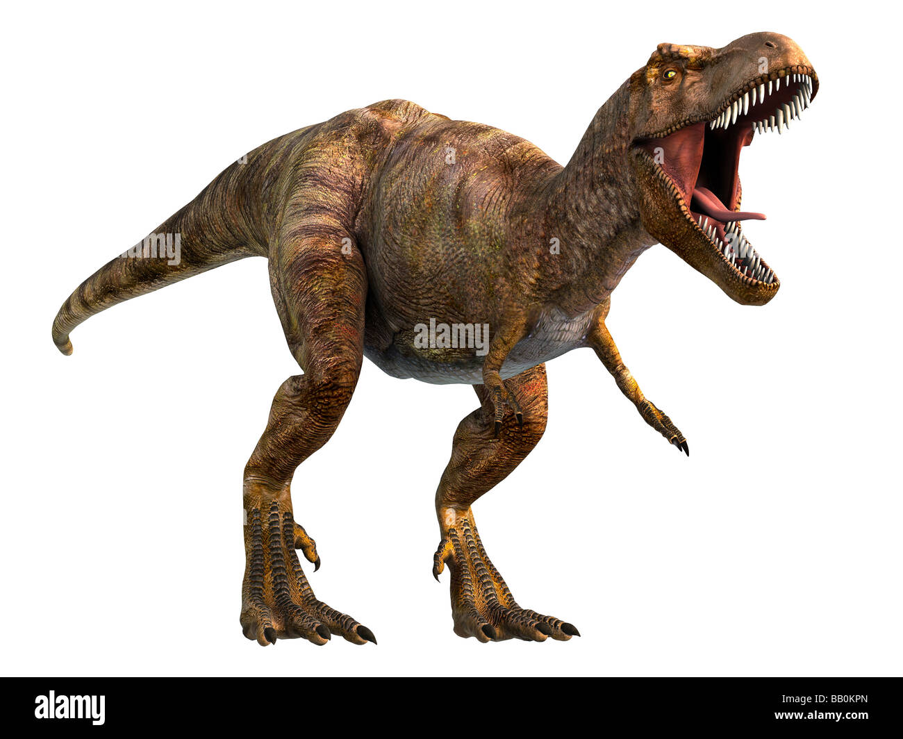 Tyrannosaurus Rex (il significato di "tiranno Lizard King') T-Rex vissuto nella parte occidentale del Nord America da 68 a 65 milioni di anni fa Foto Stock