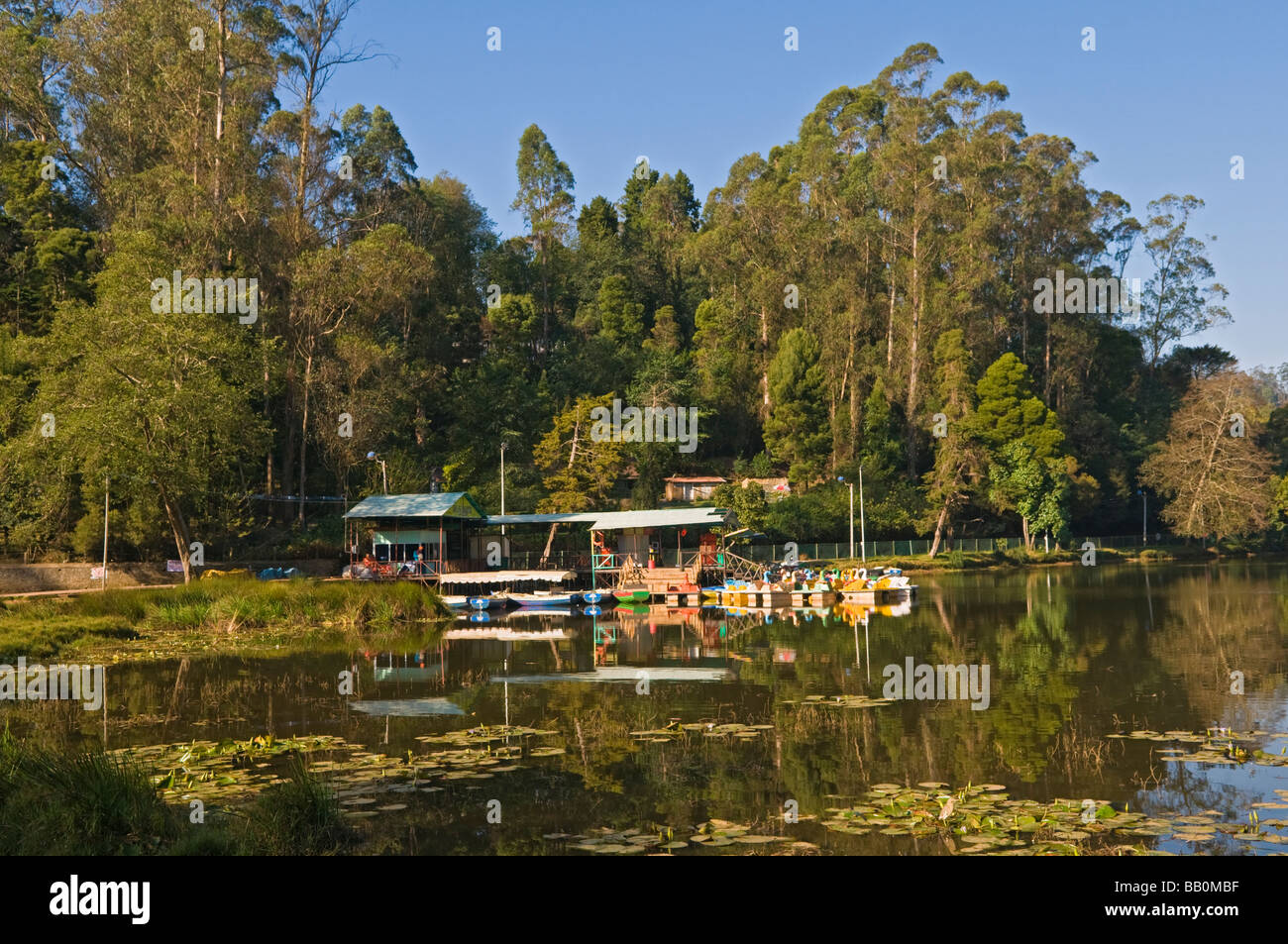 Lago di Kodaikanal Tamil Nadu India Foto Stock