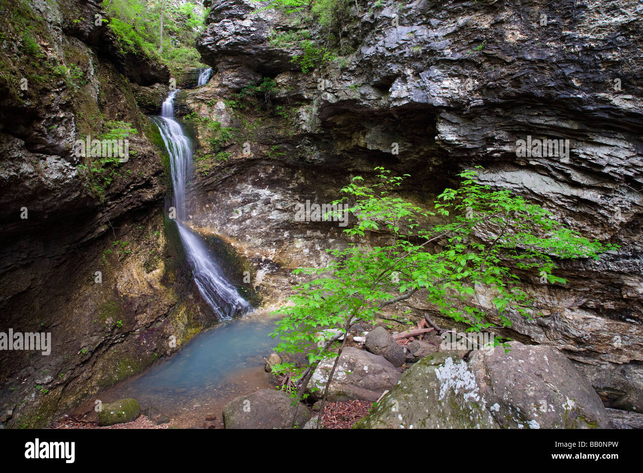 Eden cade, Buffalo National River, Arkansas Foto Stock