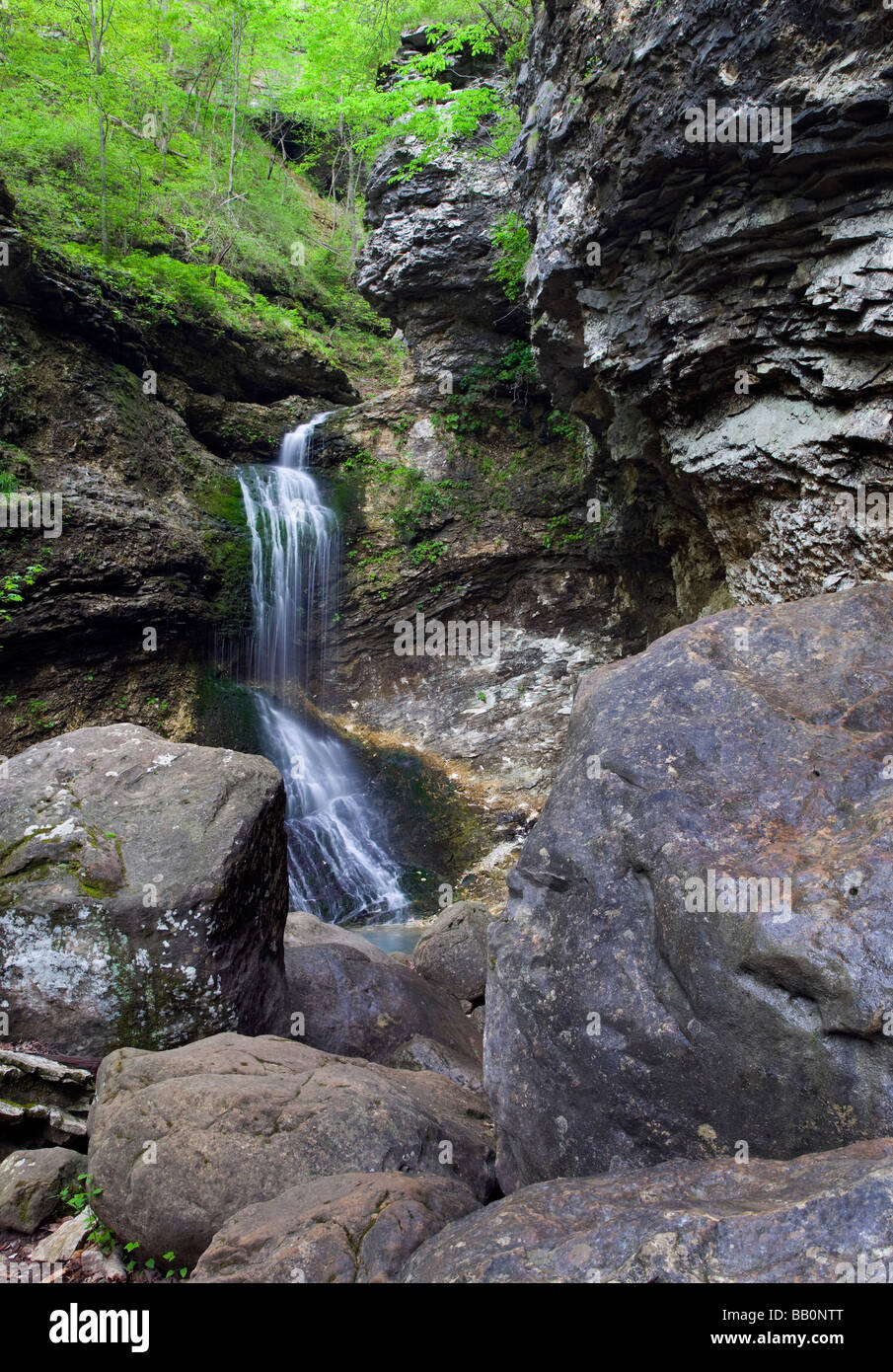 Eden cade, Buffalo National River, Arkansas Foto Stock