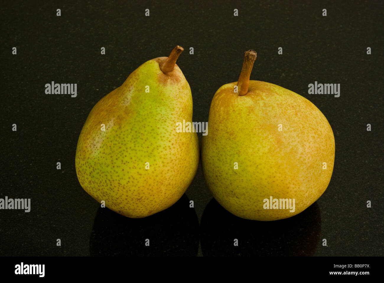 Ancora la vita di due Comice pere su un granito nero lo sfondo Foto Stock