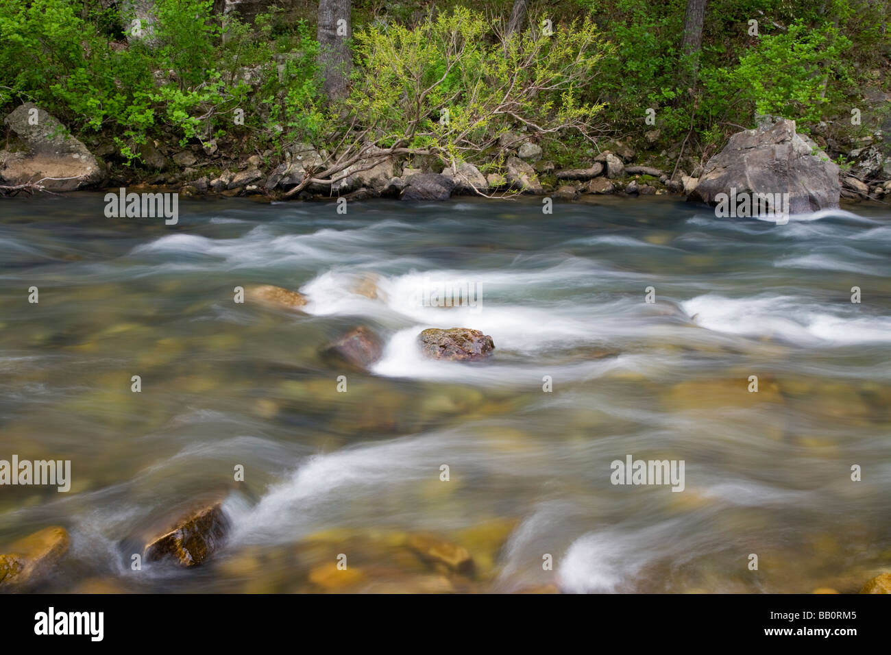 Buffalo River, Buffalo National River, Arkansas Foto Stock