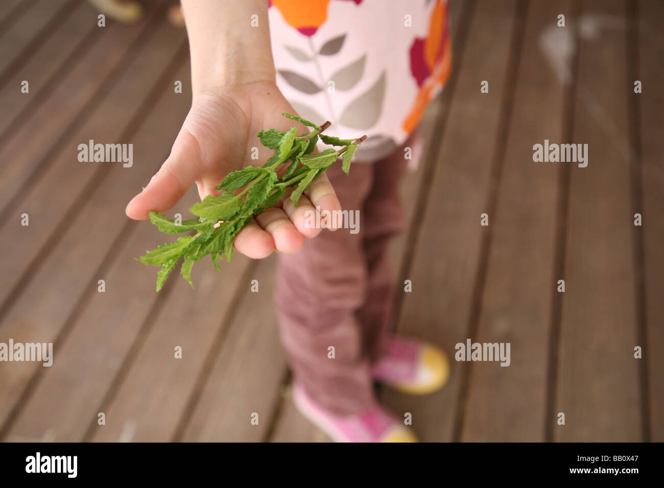 Ragazza con le foglie di menta nel palmo della sua mano. Foto Stock