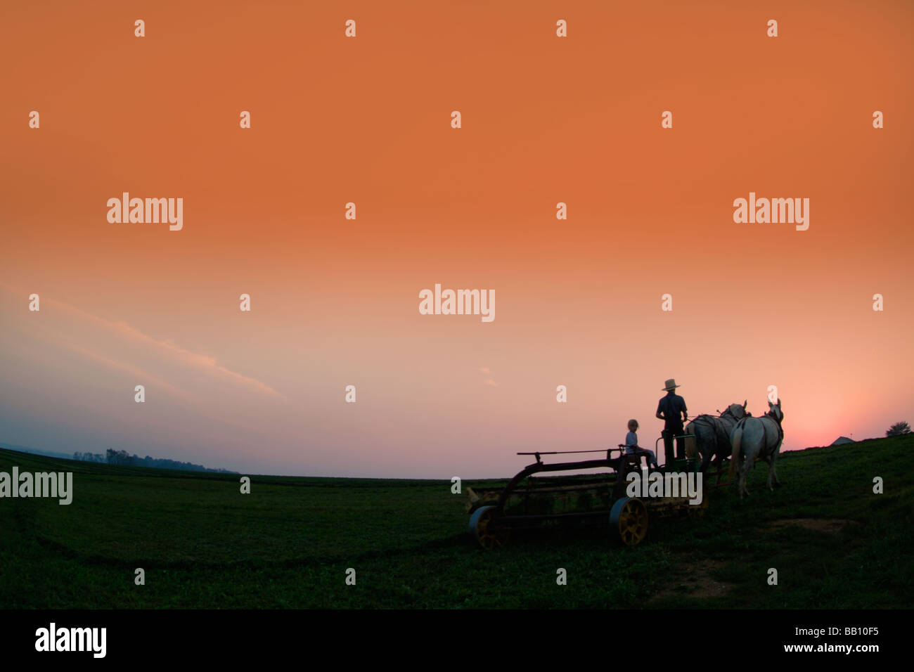 Vecchia fattoria Amish con uomo a arare i campi di lavoro Lancaster Pennsylvania Foto Stock