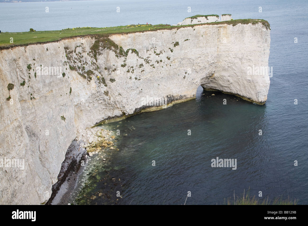 Chalk cliffs Ballard Punto vicino a Old Harry Rocks, Dorset, Inghilterra Foto Stock