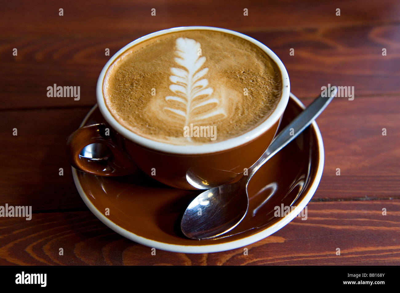Piatto bianco con caffè e Nuova Zelanda Silver Fern o Rosetta Design artistico in schiuma. Christchurch, Nuova Zelanda Foto Stock