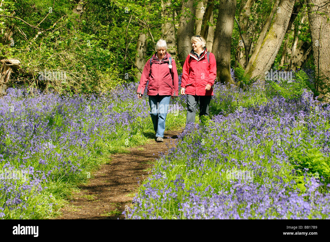 Escursionisti a piedi su un sentiero pubblico e a destra della strada attraverso un bluebell legno in Hampshire Inghilterra Foto Stock