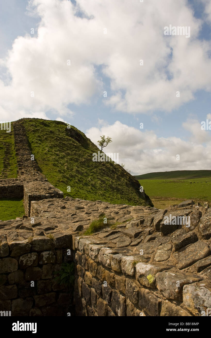 Milecastle 39 Castle Nick, il vallo di Adriano.acciaio sezione Rigg vicino a Hexham Northumberland Inghilterra. Foto Stock