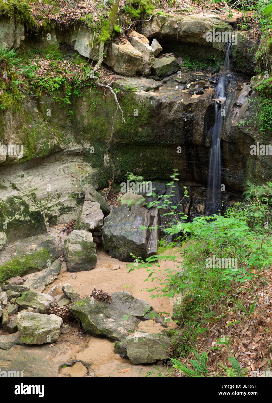 Roccia cade, Sicilia Isola Hills Wildlife Management Area, Louisiana Foto Stock