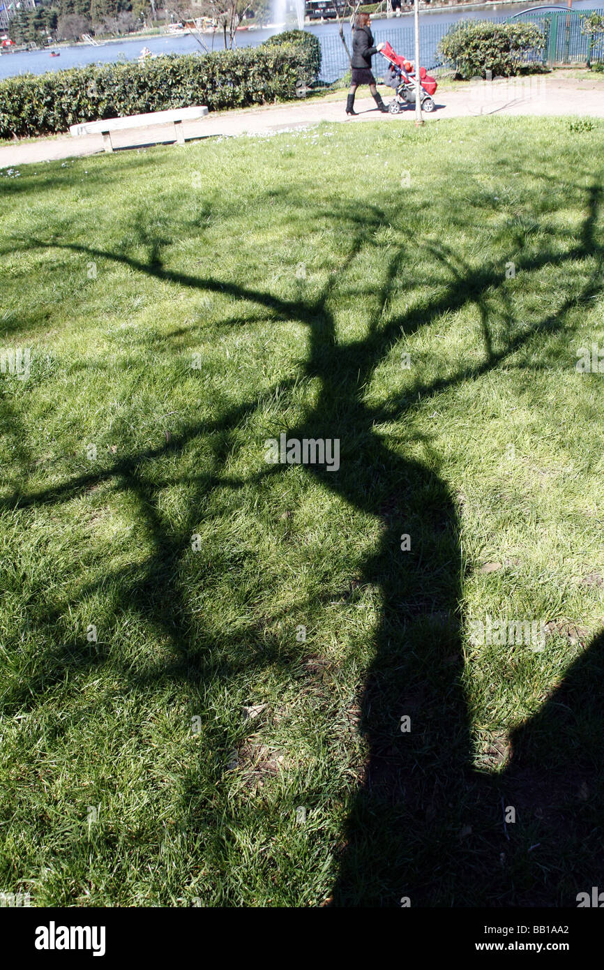 Tree ombra nel parco nella zona euro, Roma, Italia Foto Stock