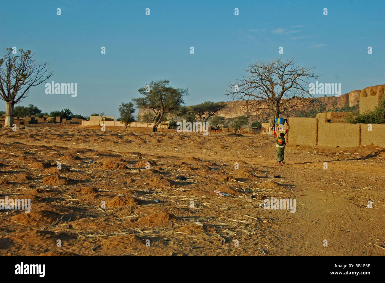 MALI, Paese Dogon. La donna che porta una ciotola sulla sua testa e il suo bambino sulla schiena (RF) Foto Stock