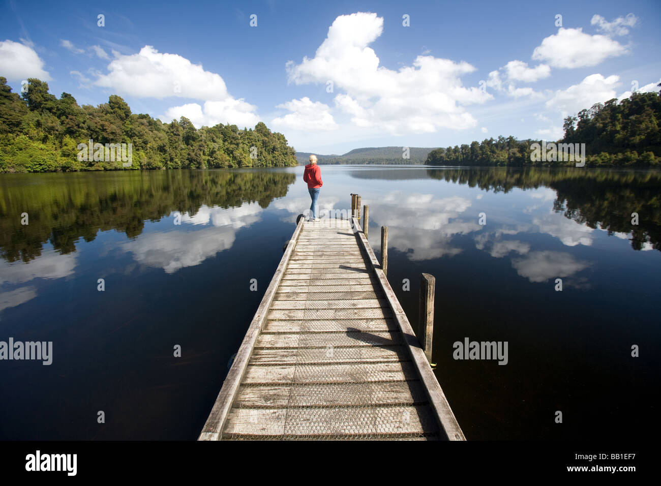 Lago Mapourika Isola del Sud della Nuova Zelanda Foto Stock